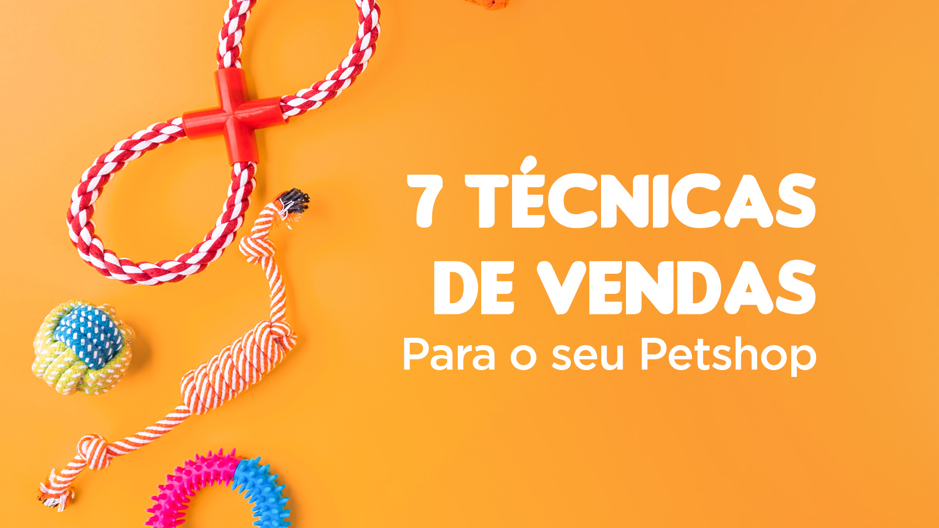 Redes sociais para pet shop: conheça as melhores estratégias