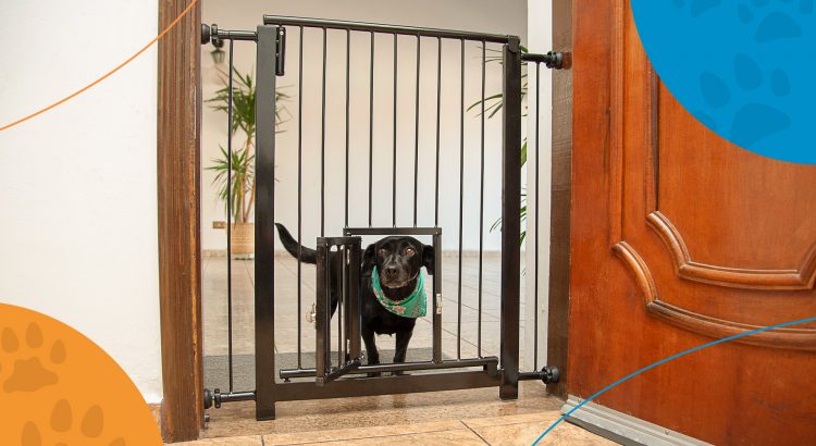 cercados para cães - portões para cachorro - portão pet