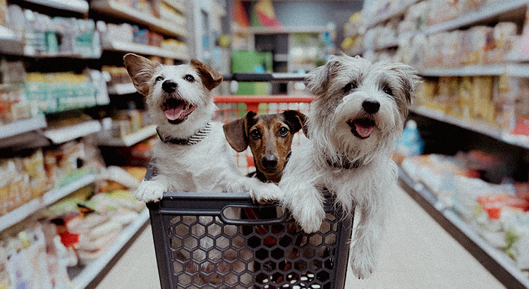 mix de produtos para pet shop organizado em prateleiras